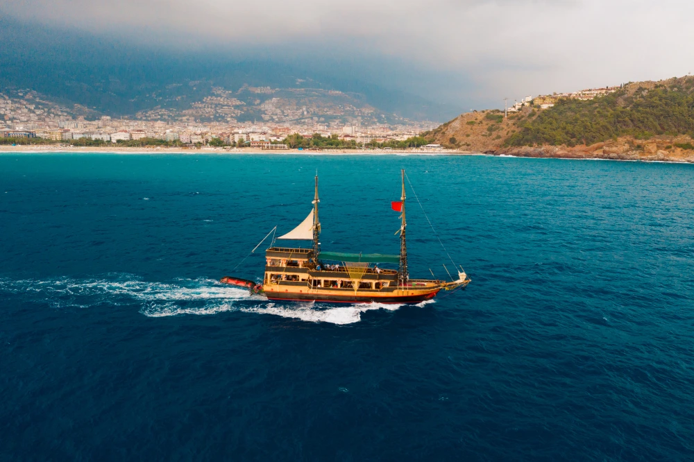 Cruise 2